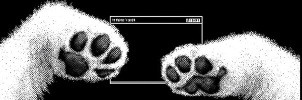 0xDawggy Profile Banner