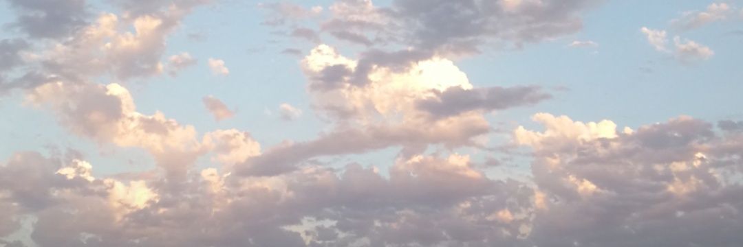RayWiseman's profile banner image