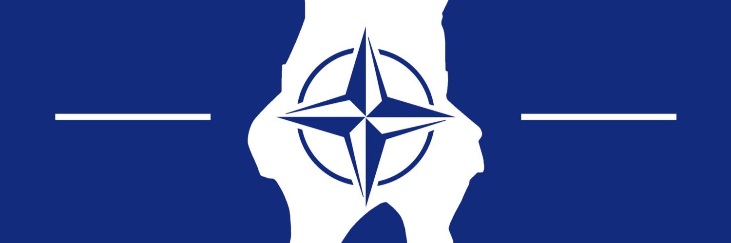 Borysovych's banner