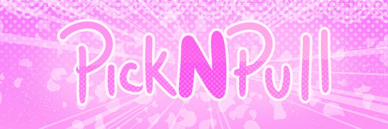 PickNPull banner