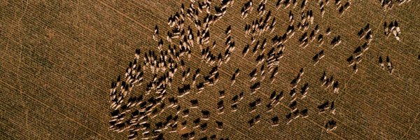 AWIExtensionQLD Profile Banner