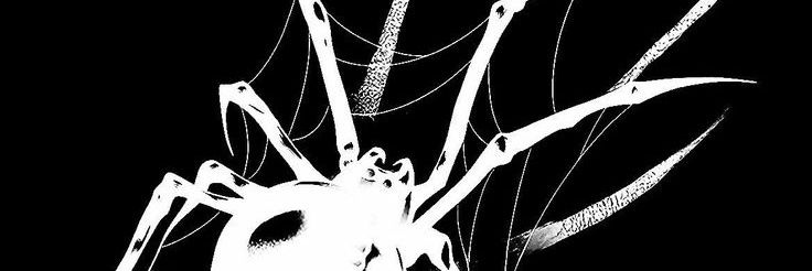 zinne banner