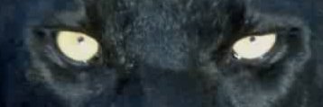 Ayn Reagan's banner