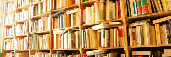 edlaugier Profile Banner