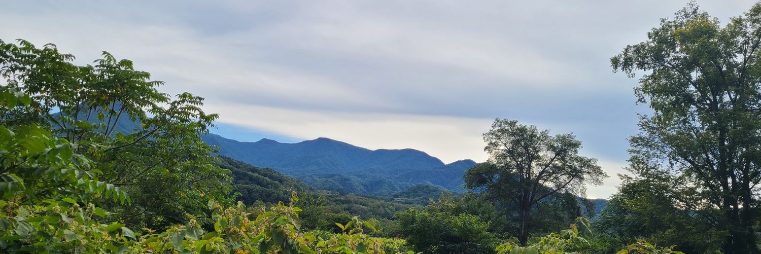tsuien's profile banner image