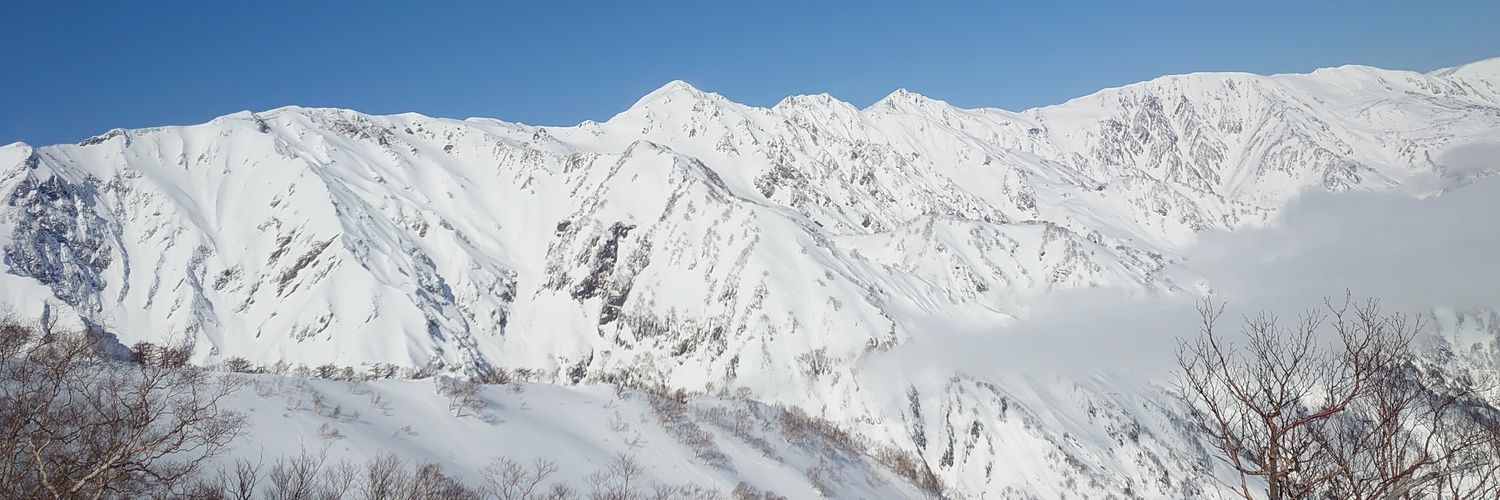 zumi❄❄❄ banner