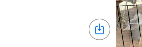 Hael. banner