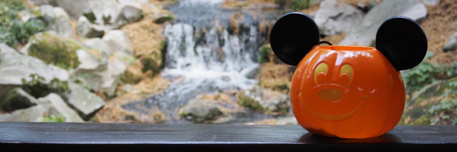 GDSineadReilly's profile banner image