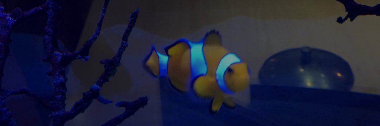 dynamitelondon's profile banner image