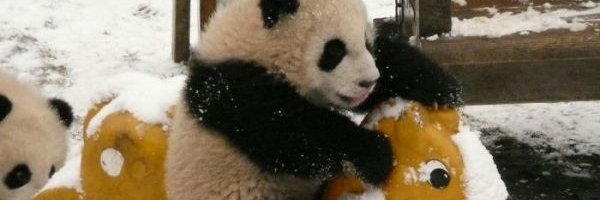 DouglasDaniel Profile Banner