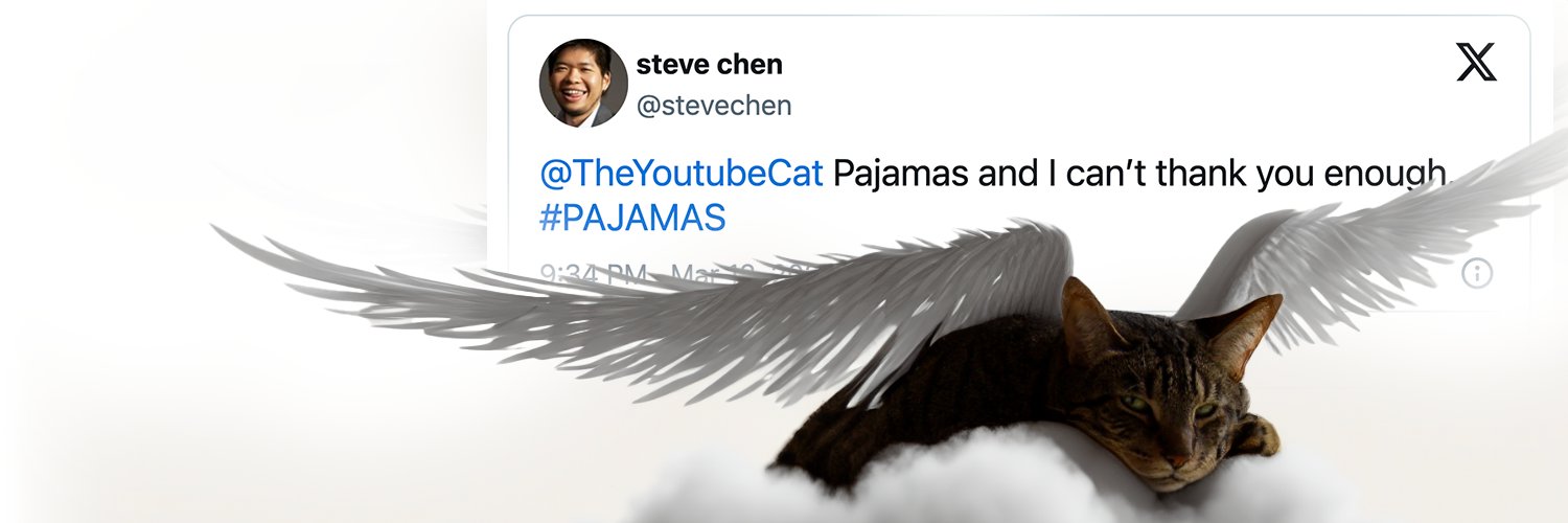 The First Youtube Cat $PAJAMAS's banner