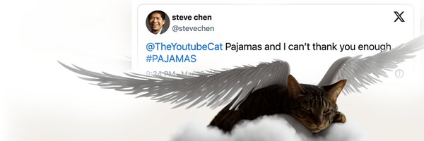 The First Youtube Cat $PAJAMAS Profile Banner