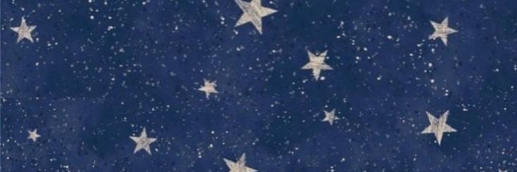 Staria banner