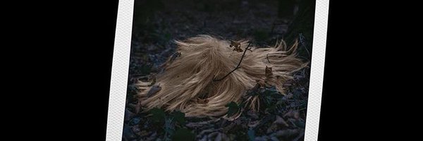 FD045 Profile Banner