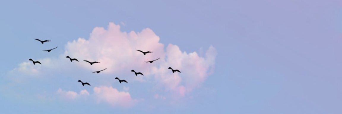 mm_miha's profile banner image