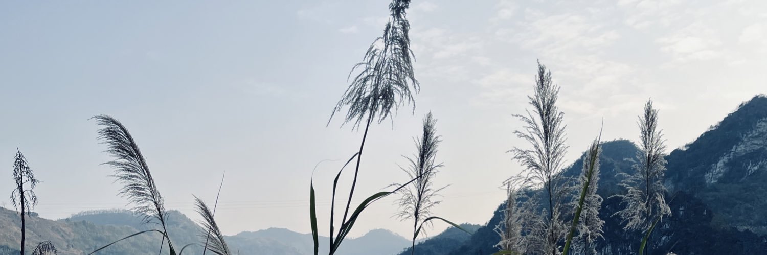 YuYuZe57's profile banner image