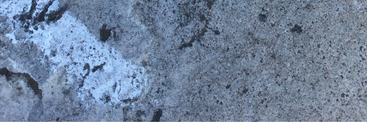 littlemuffy's profile banner image
