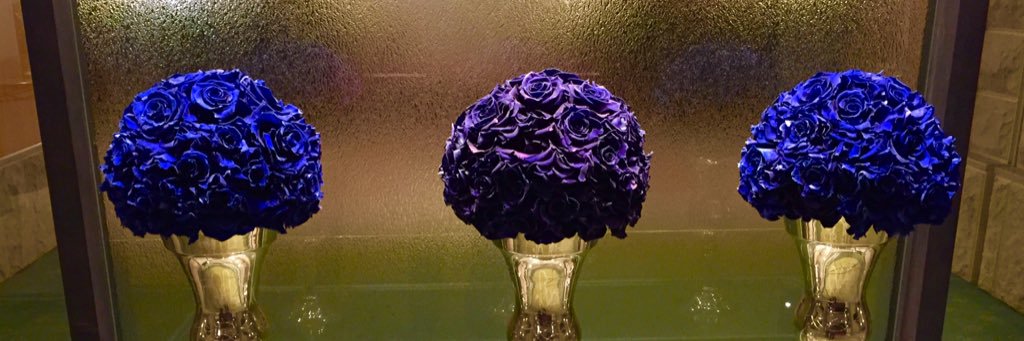 koa0802's profile banner image
