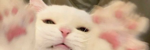 soika_here Profile Banner