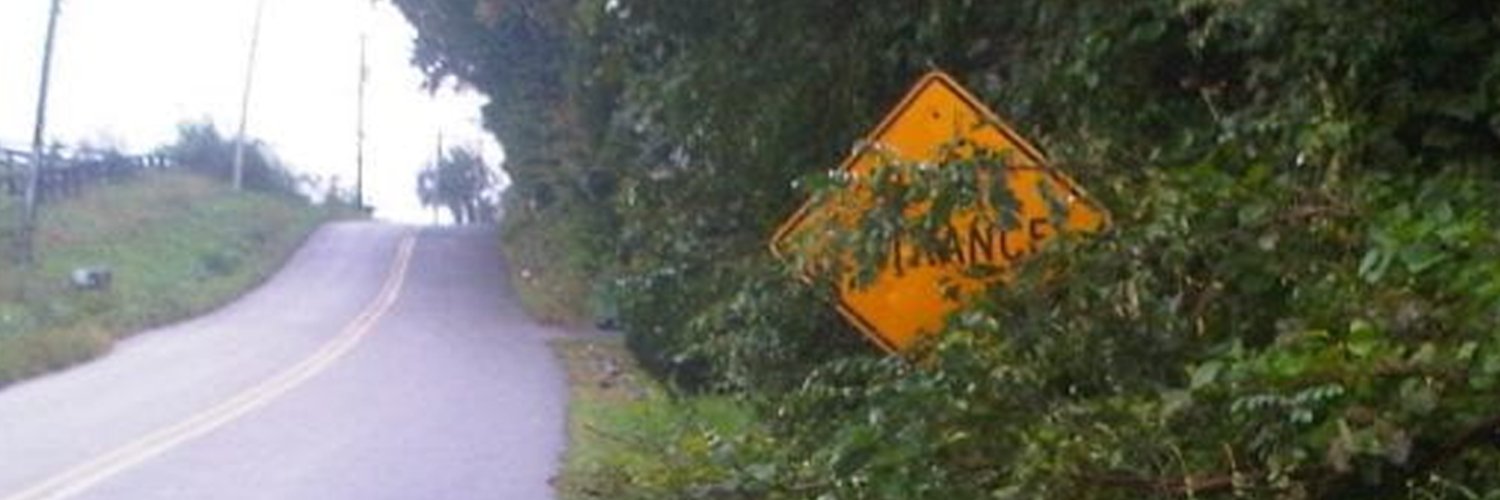 Hidden Driveway's banner