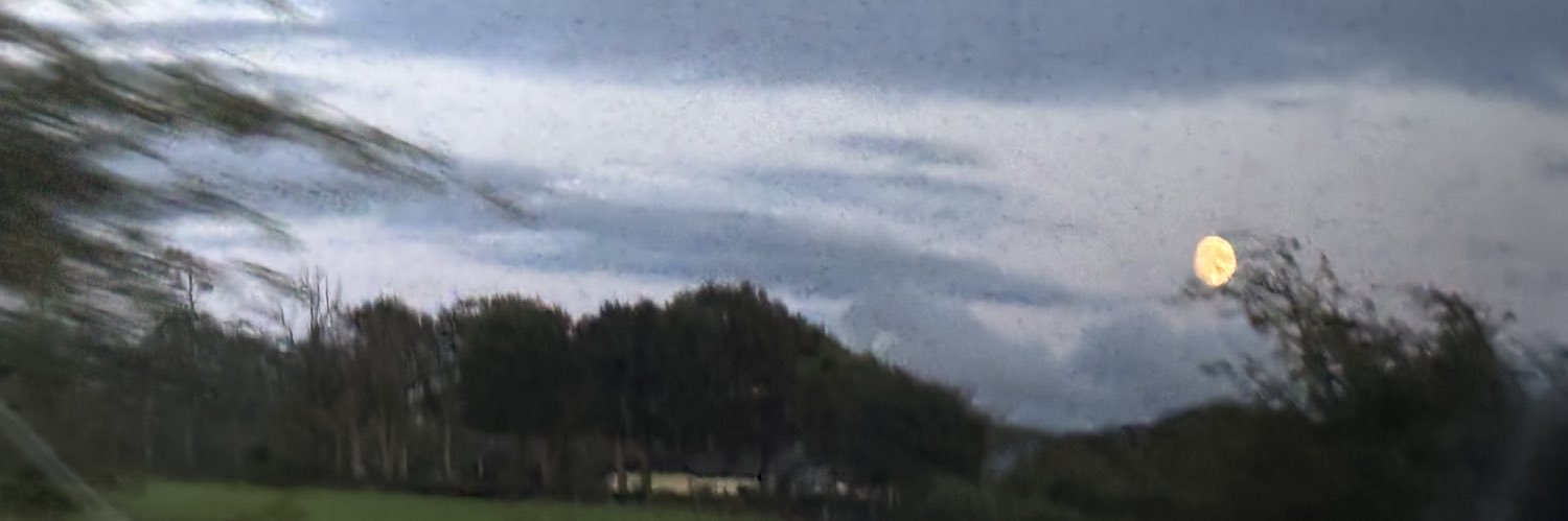 ponds (no longer faceless) banner