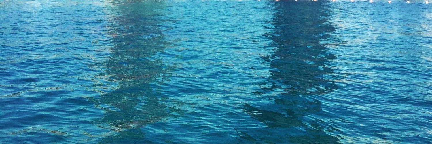 AnnaBisart's profile banner image