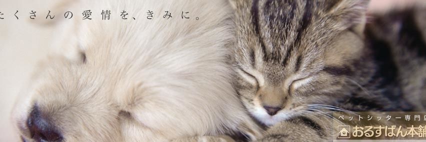 olsban's profile banner image