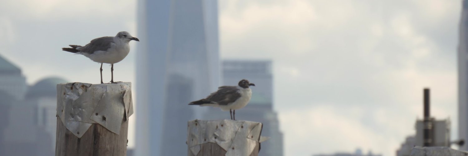 Nathalie Niel banner