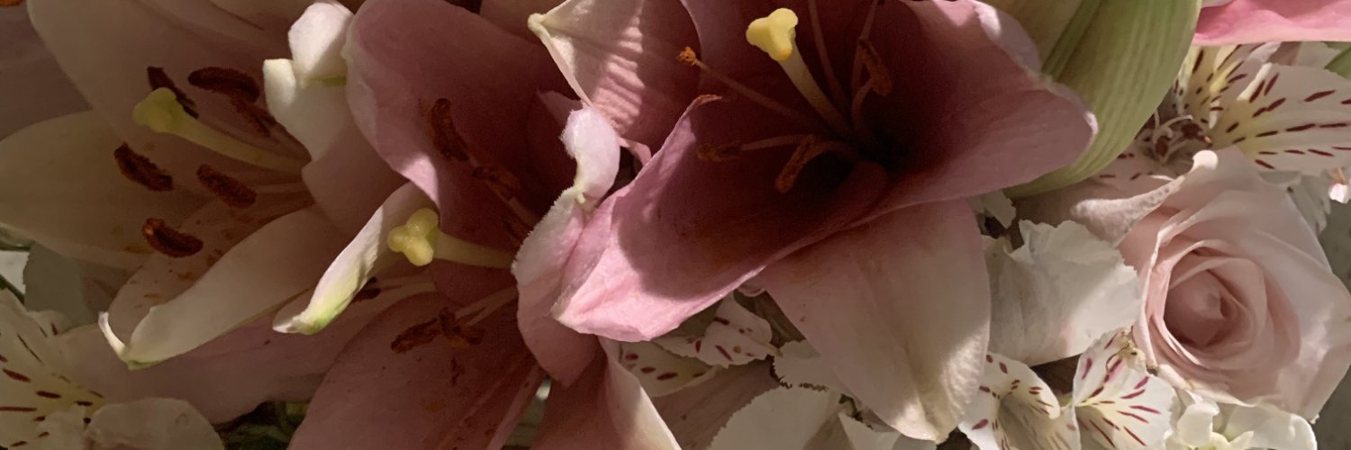 dome em depressão banner