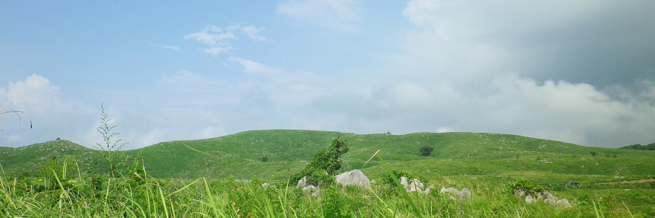 ﾆｬﾙ・ｼﾃ banner