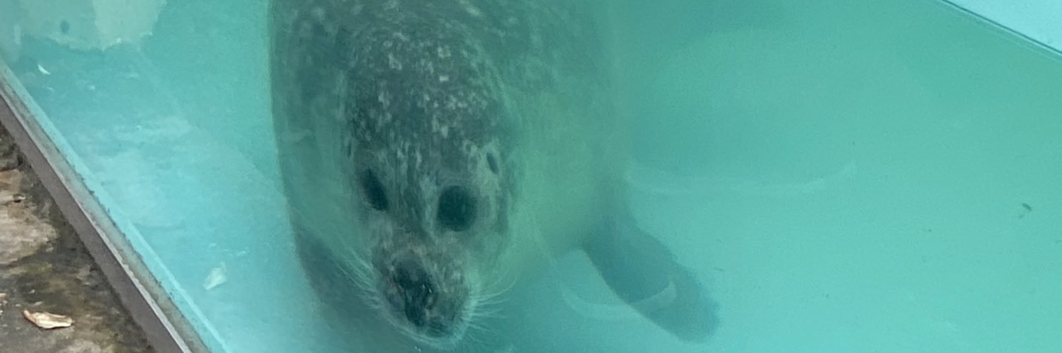 Lobotomized Kokichi Oma (Oskha) banner