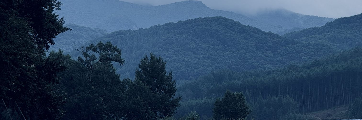 SccSu3888's profile banner image