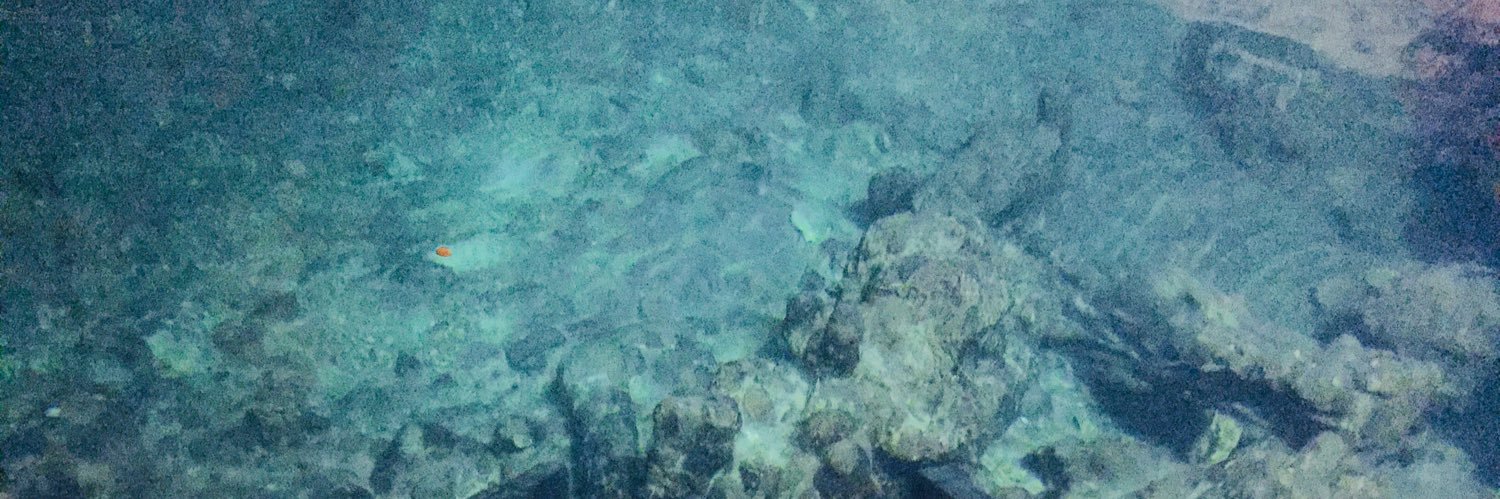 Cosa_Pecosa's profile banner image