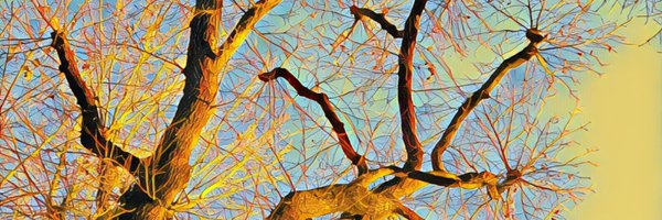 humanventures Profile Banner