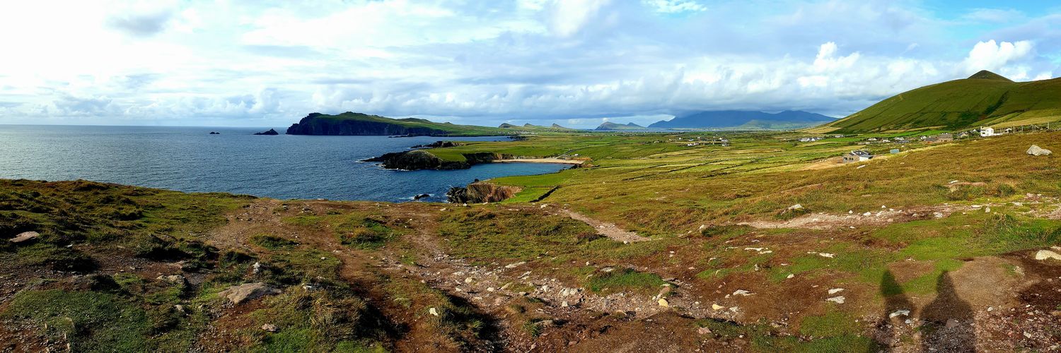 Florent Moncomble 🐘🦋 banner