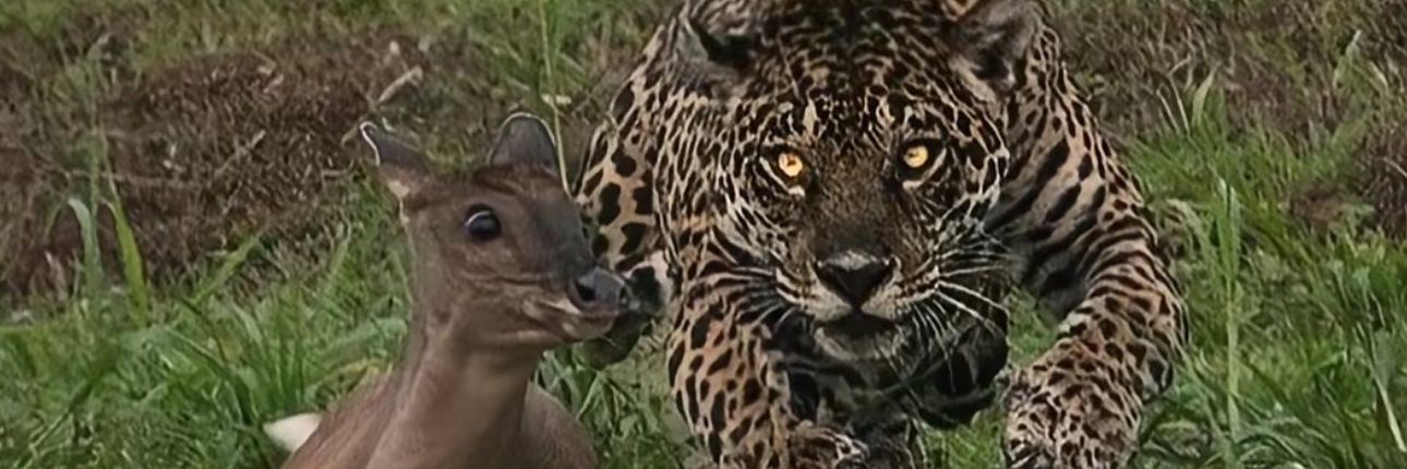 .ۗۗۗۗۗۗۗۗۗۗۗۗۗۗۗۗۗۗۗۗۗۗۗۗۗۗۗۗ𝕯etox.ۗۗۗۗۗۗۗۗۗۗۗۗۗۗ banner