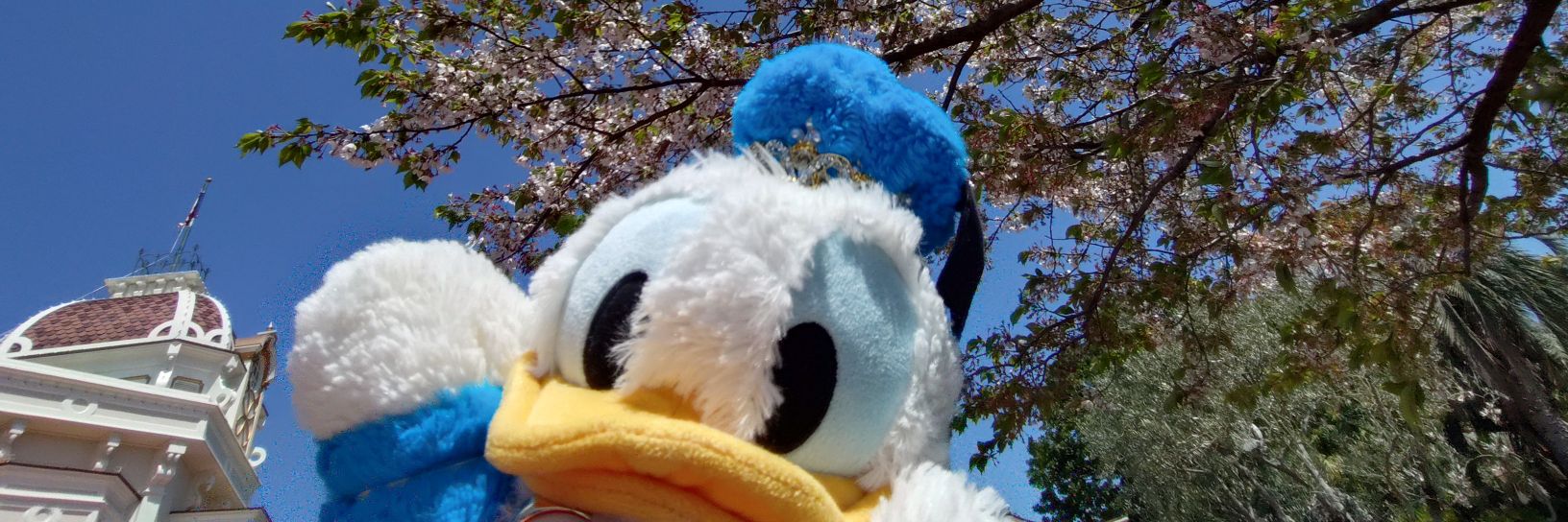 walter_k00's profile banner image