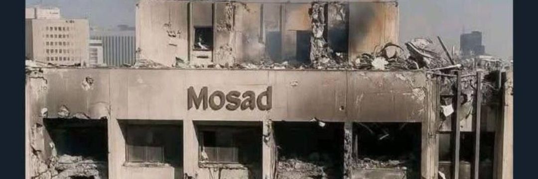 Nihilista 🔻 banner