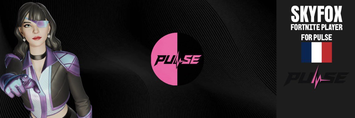 PLE SkyFox banner