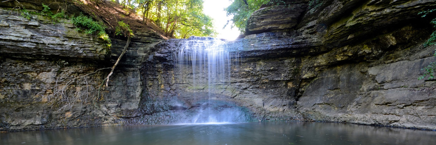 Nancy Day-Achauer banner