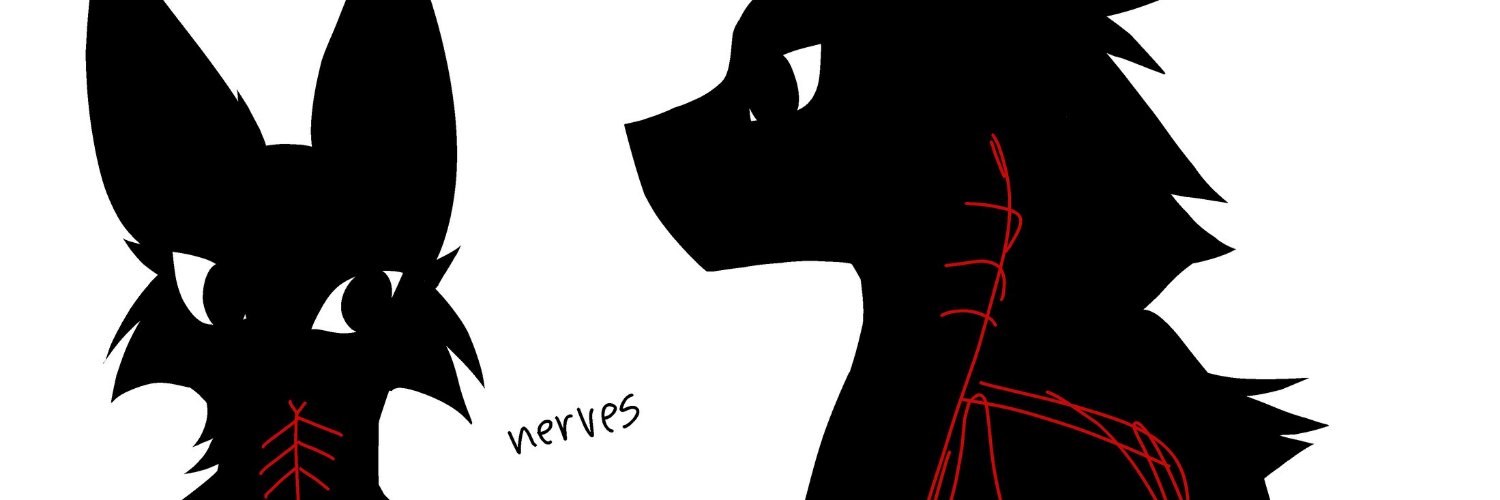 Marcy's banner