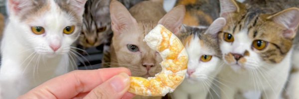 MalonFreezedrie Profile Banner