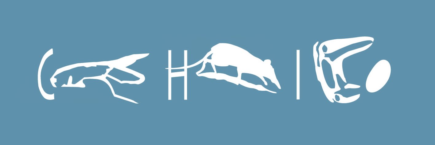 ChiRecordings's profile banner image