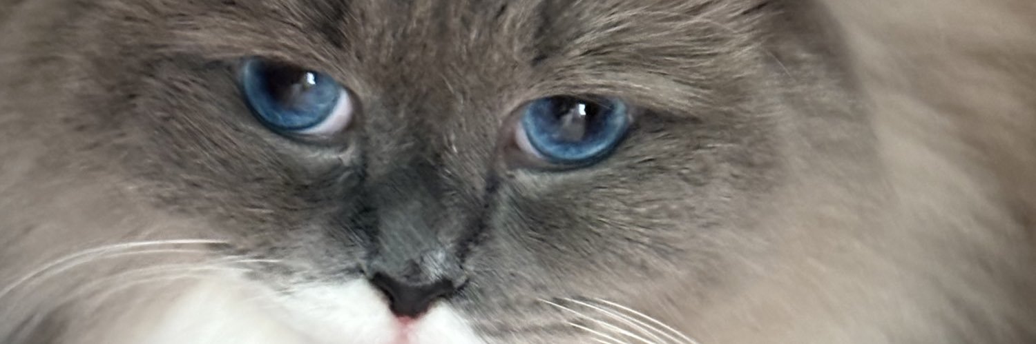 ゆぅみん@82回目の終身刑 banner