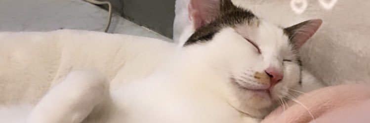 山口ゆらら banner