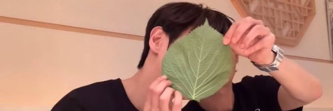 밤 banner