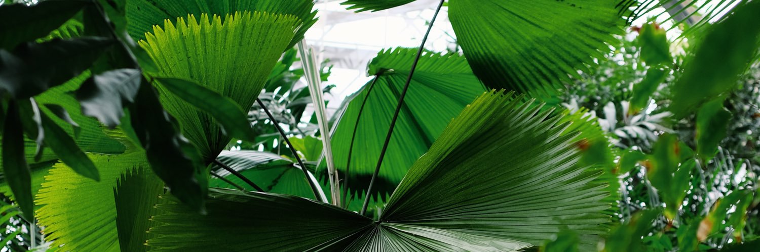 malmeida_design's profile banner image