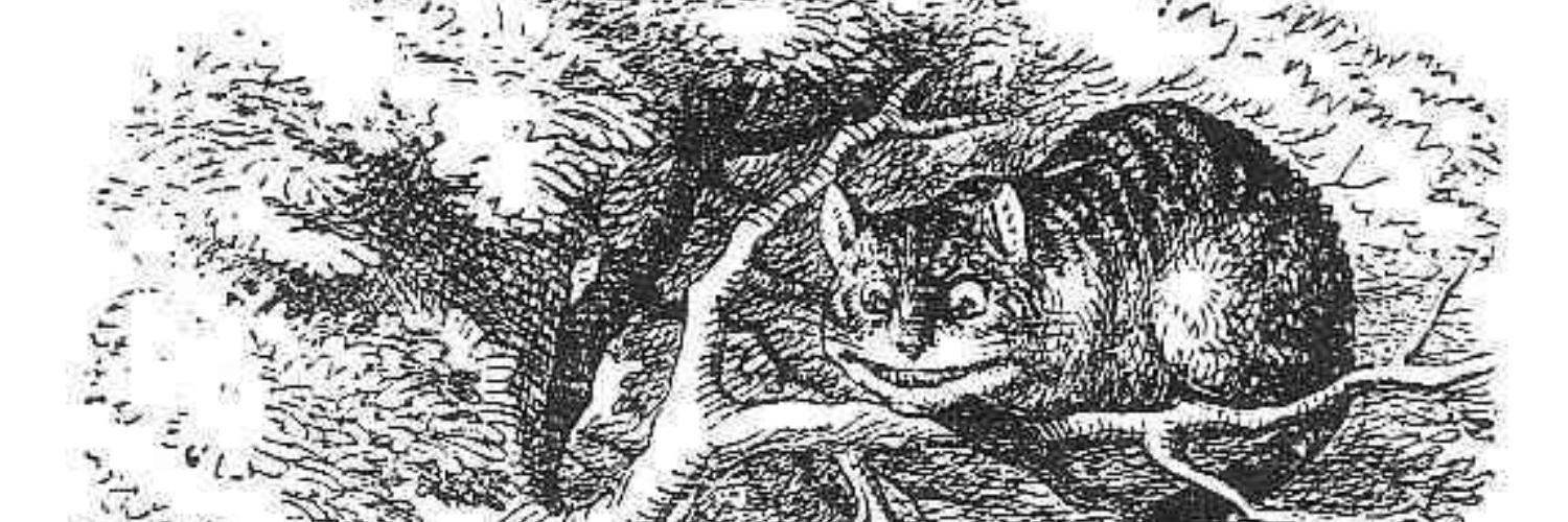 sevambrus's profile banner image