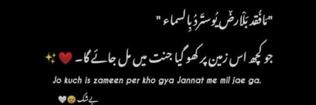 Shahzad Ali banner