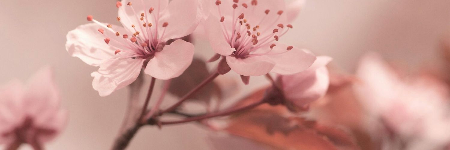 Hannyhs's profile banner image